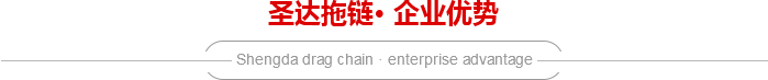 胜游（中国）企业优势